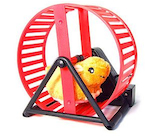 Run faster little hamster!