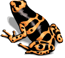 Ribbit